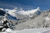Mount Fee.